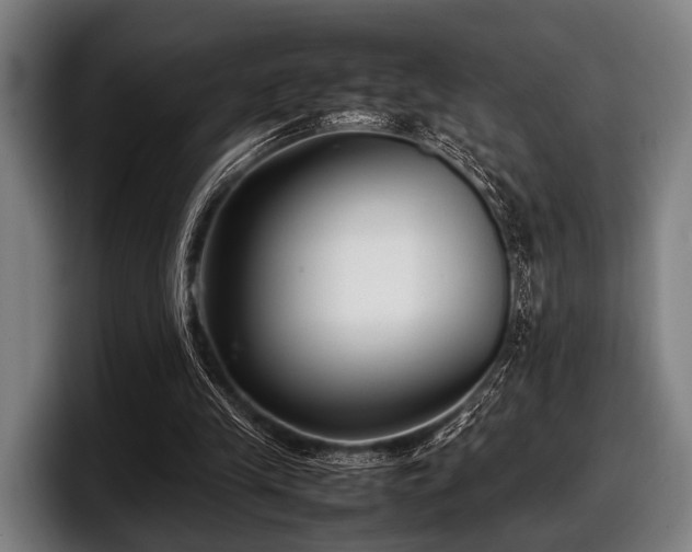 X0000097800245200803201403