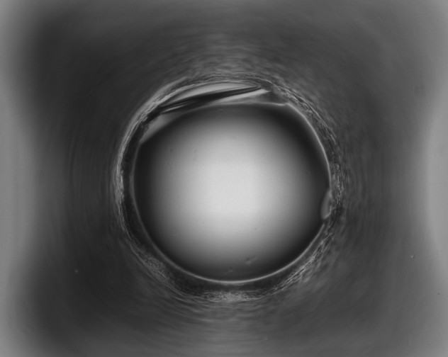 X0000097800246200803201403