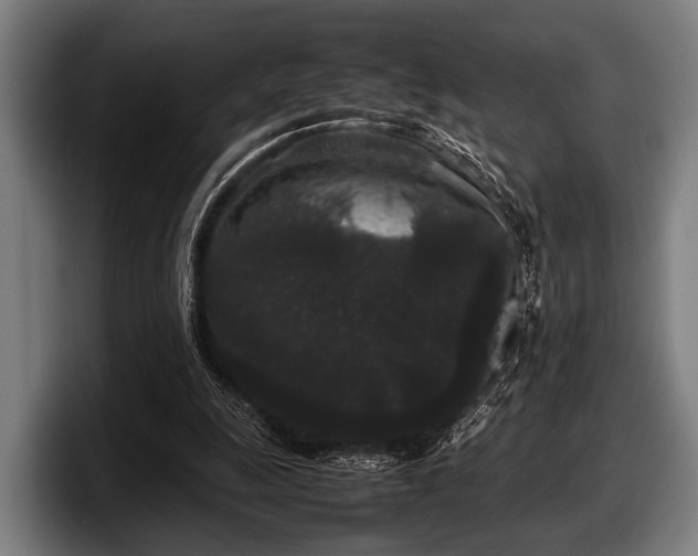 X0000097800247200803201403