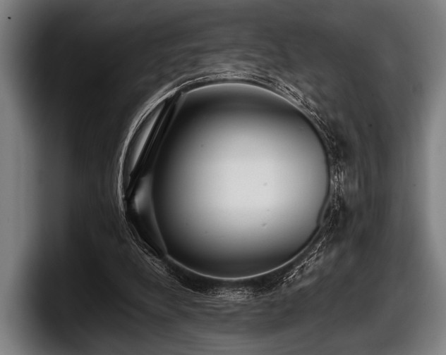 X0000097800248200803201403