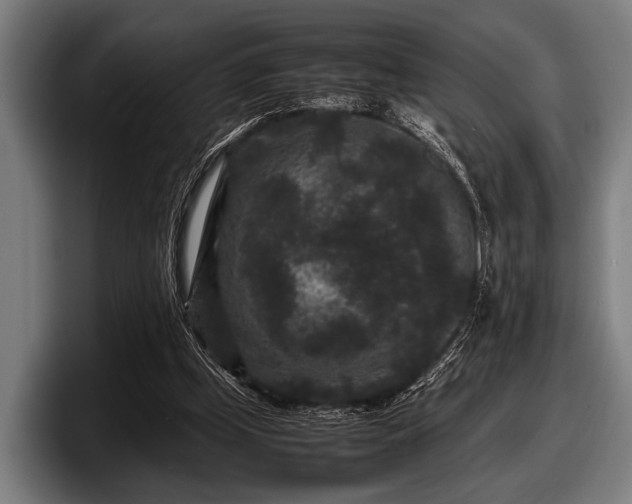 X0000097800249200803201403