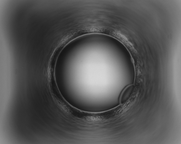 X0000097800250200803201403