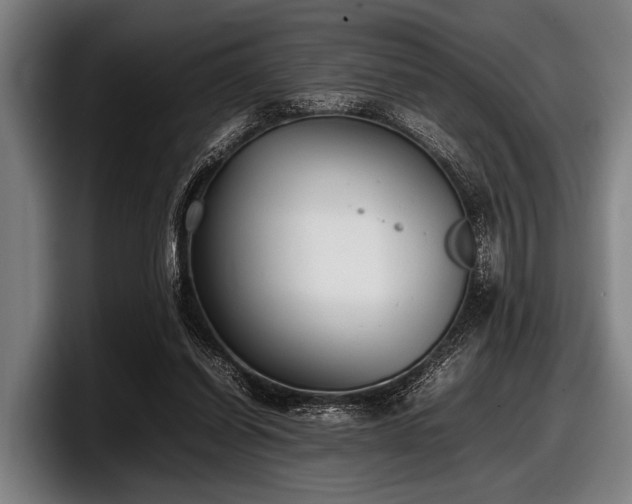 X0000097800254200803201403