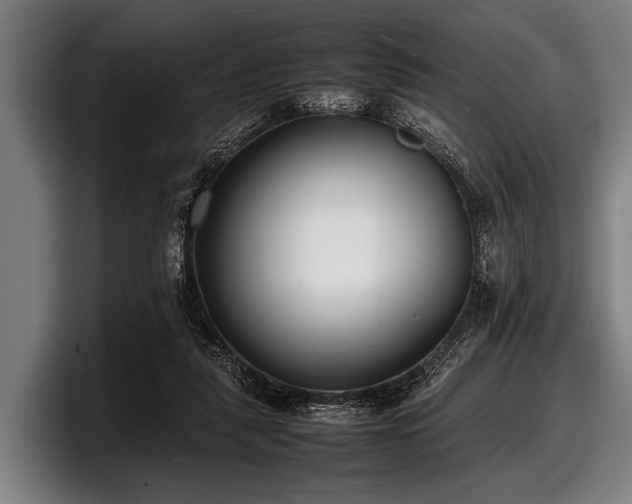 X0000097800259200803201403