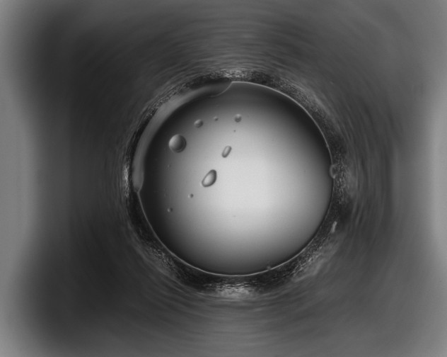 X0000097800262200803201403