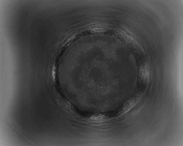 X0000097800271200803201403