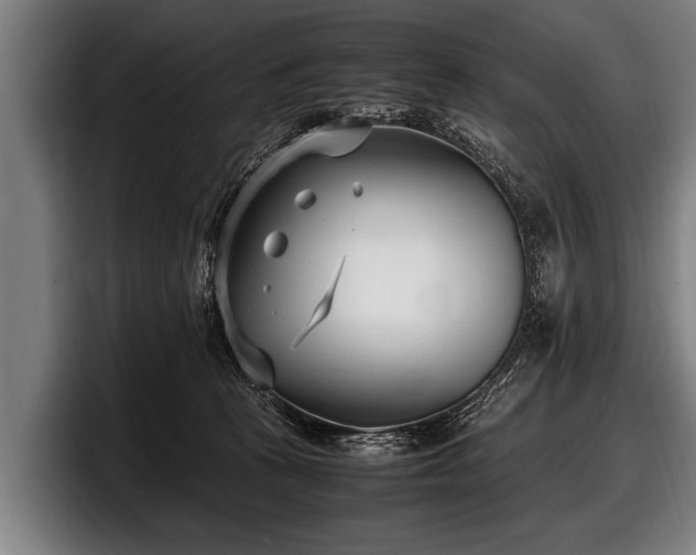 X0000097800273200803201403