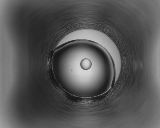 X0000097800276200803201403