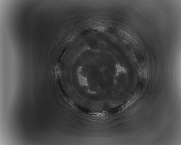 X0000097800285200803201404