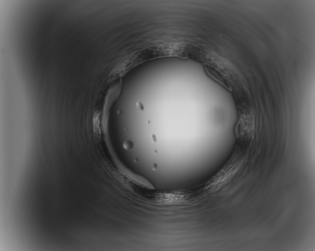 X0000097800286200803201404