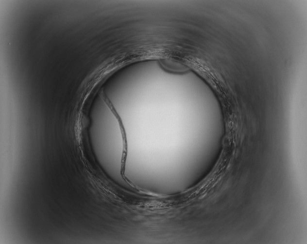 X0000097800290200803201403