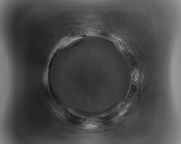 X0000097800292200803201403