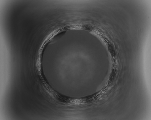 X0000097800293200803201403