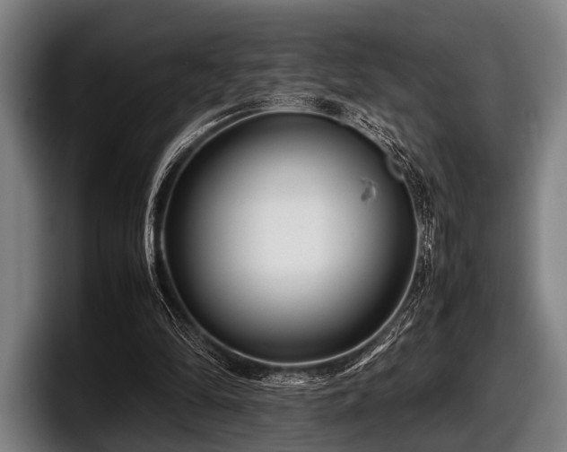 X0000097800294200803201403