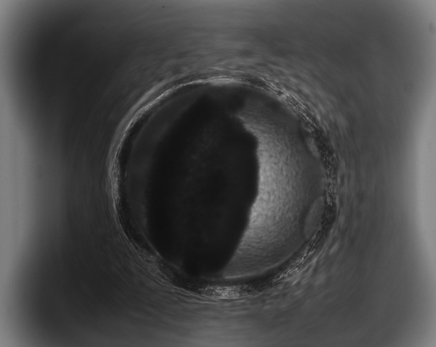 X0000097800295200803201403