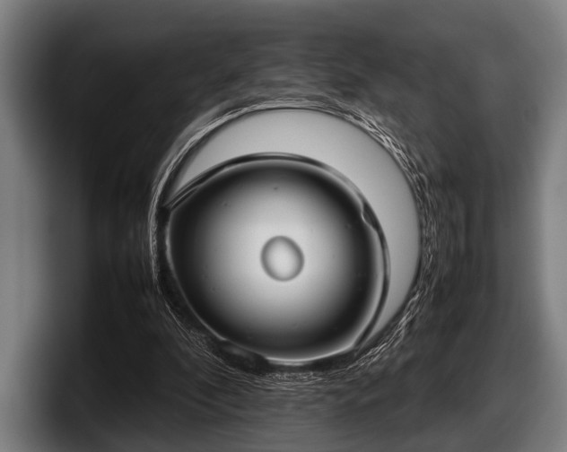 X0000097800296200803201403