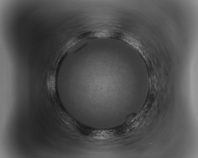 X0000097800297200803201403