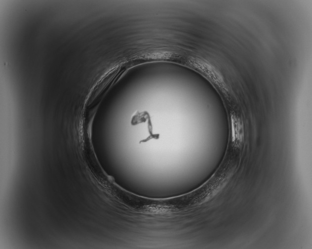 X0000097800300200803201403