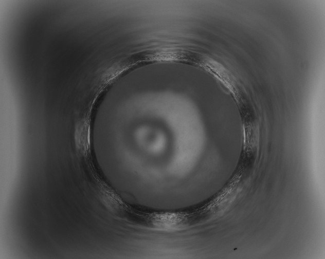 X0000097800301200803201403