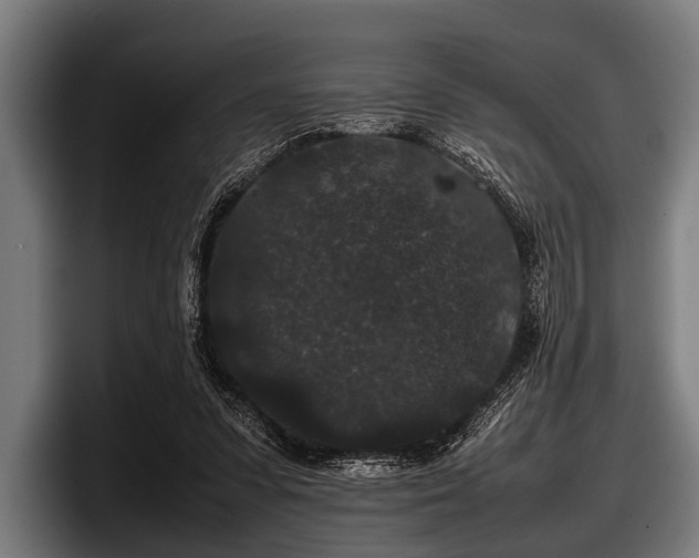 X0000097800303200803201403