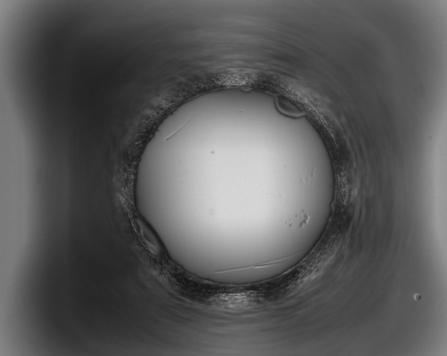 X0000097800307200803201403