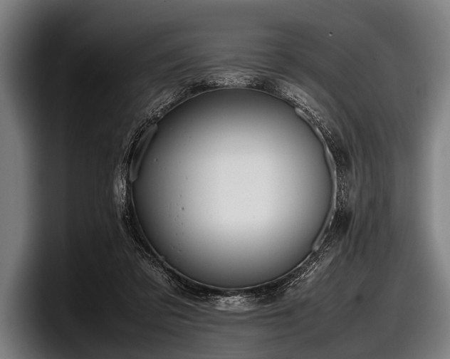 X0000097800309200803201403