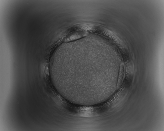 X0000097800313200803201403