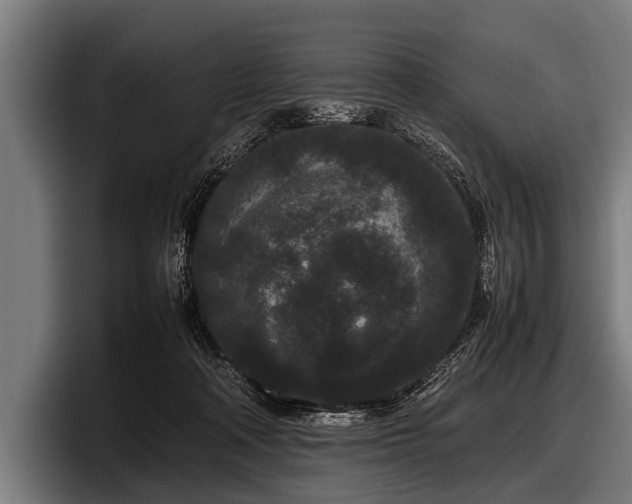 X0000097800314200803201403