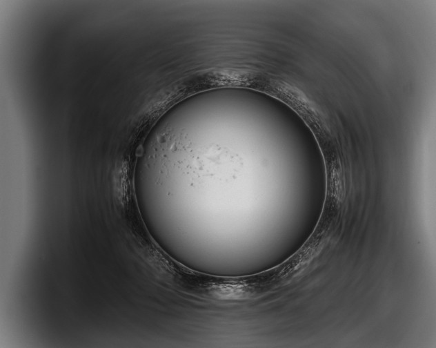 X0000097800318200803201403