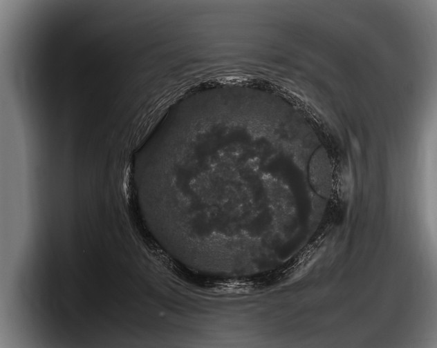 X0000097800319200803201403