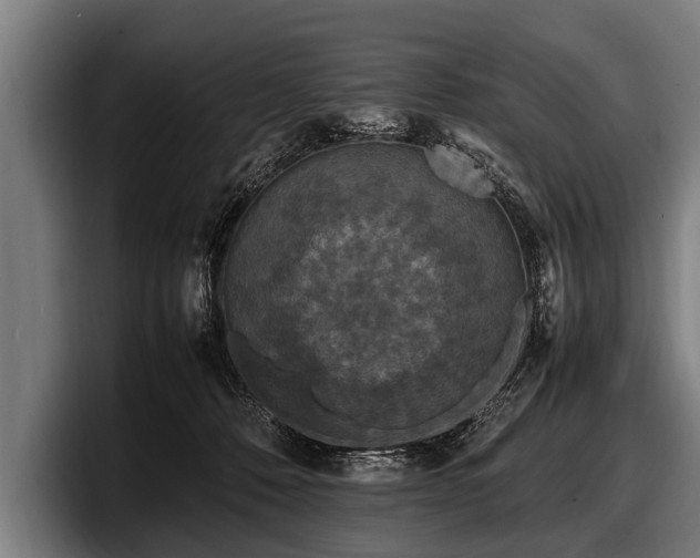 X0000097800320200803201403