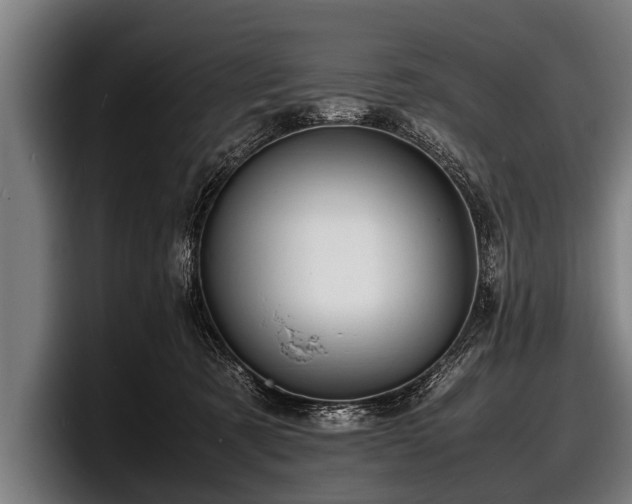 X0000097800321200803201403