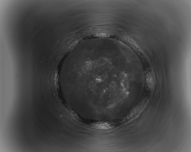 X0000097800322200803201402