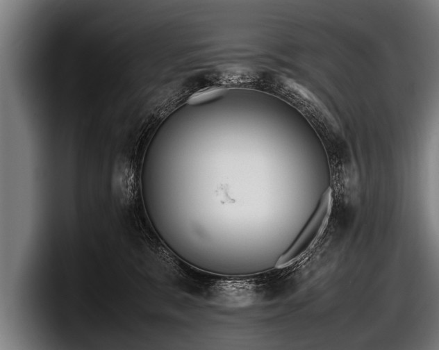 X0000097800327200803201402