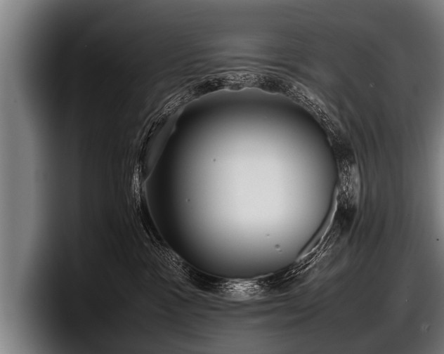 X0000097800333200803201402