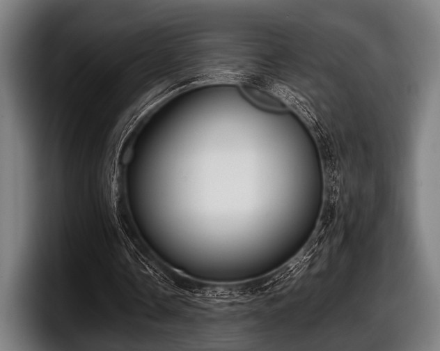 X0000097800338200803201402