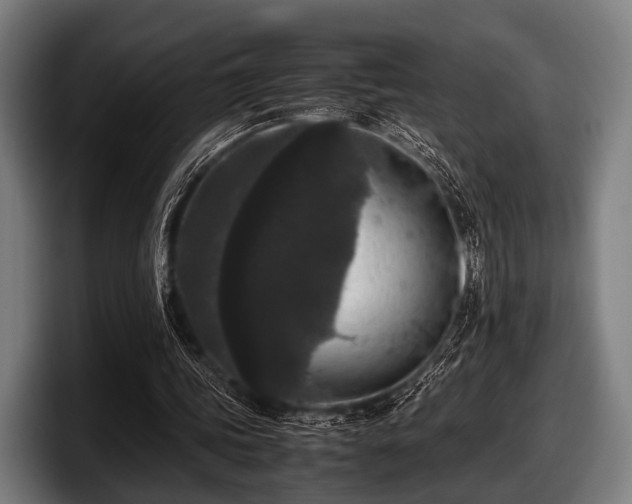 X0000097800339200803201402