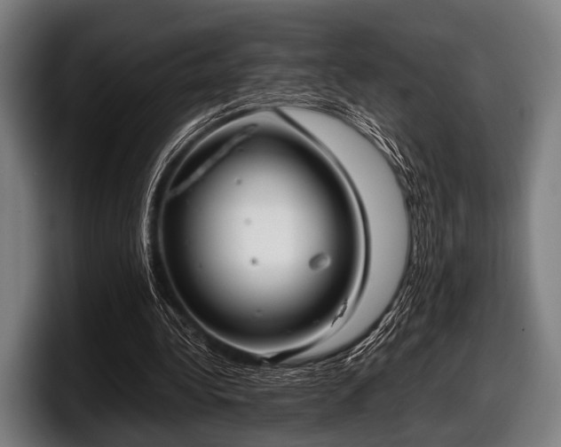 X0000097800340200803201402