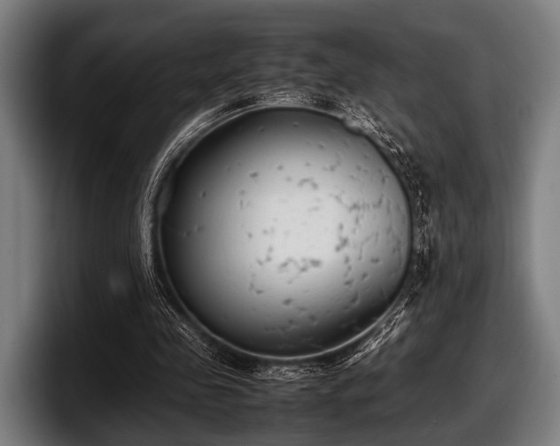 X0000097800341200803201402