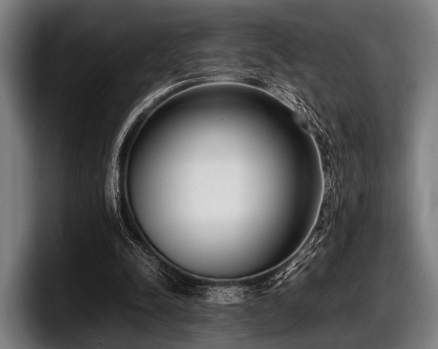 X0000097800342200803201402