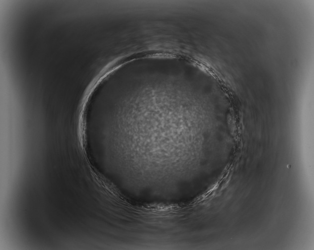 X0000097800343200803201402