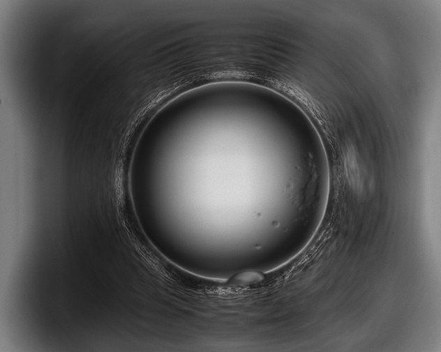 X0000097800345200803201402