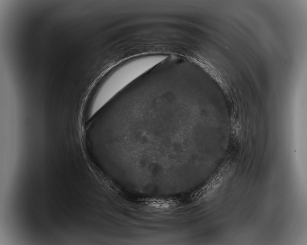 X0000097800347200803201402