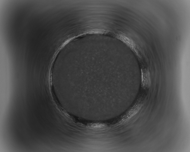 X0000097800348200803201402