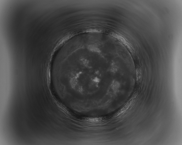 X0000097800349200803201402