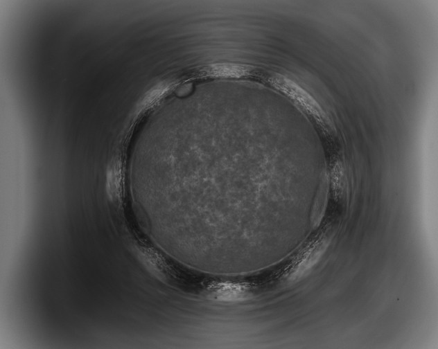 X0000097800352200803201402