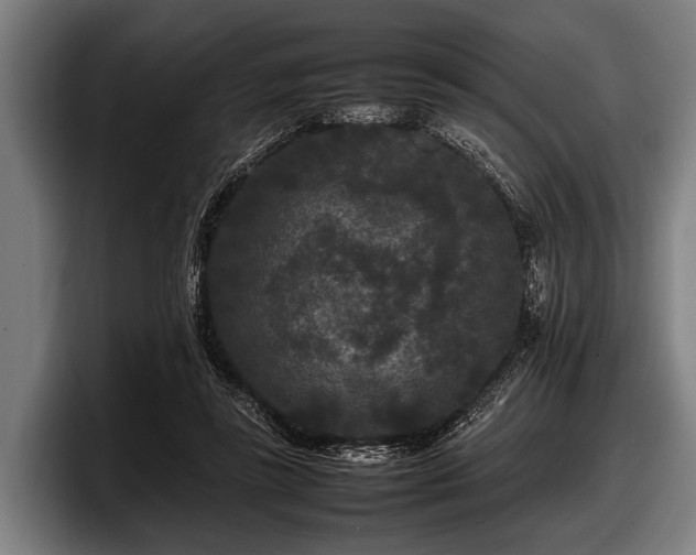 X0000097800355200803201402