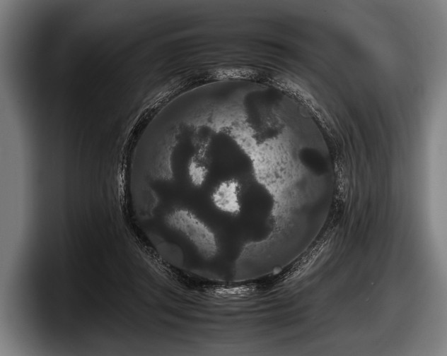 X0000097800357200803201402