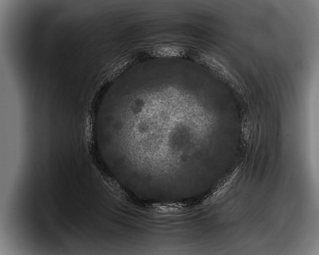 X0000097800359200803201402