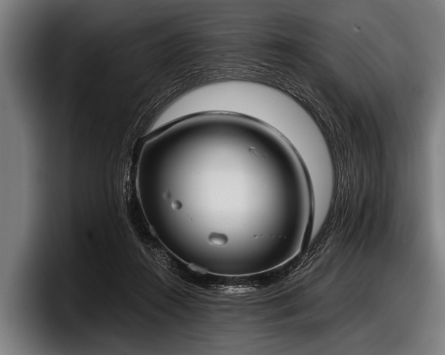 X0000097800360200803201402